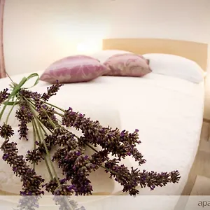 https://apartmani-murtilica-trogir.hotels-in-trogir.com